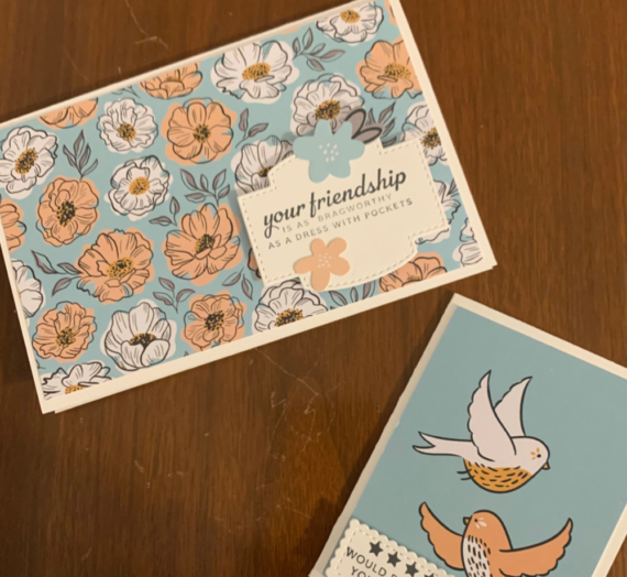 Bragworthy Friendship Cards